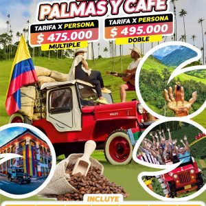 Entre Palmas Y Café