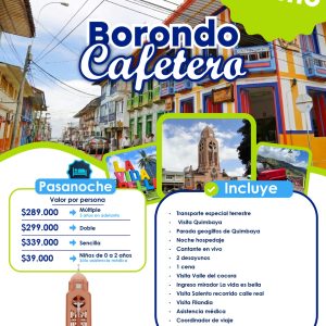 Borondo Cafetero 2026